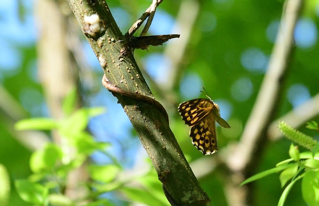 d0285540_12003915.jpg