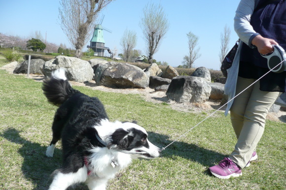 c0147241_08513775.jpg