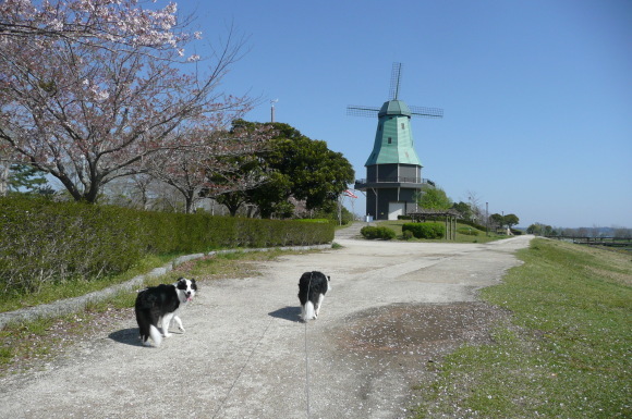 c0147241_08542769.jpg