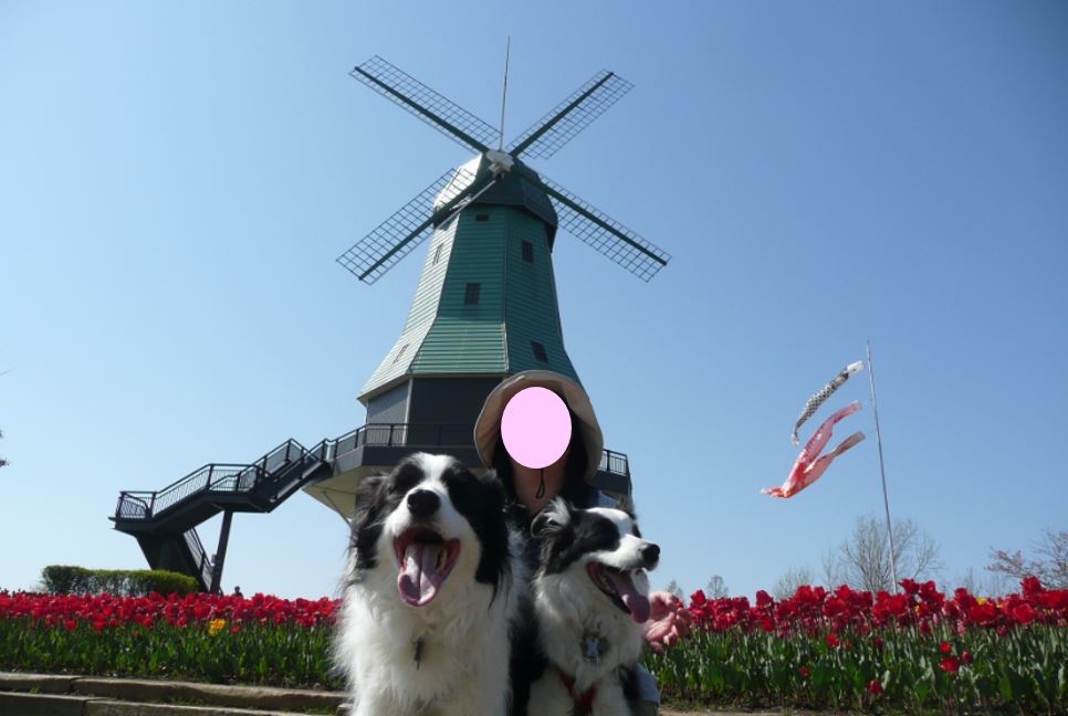 c0147241_08543241.jpg