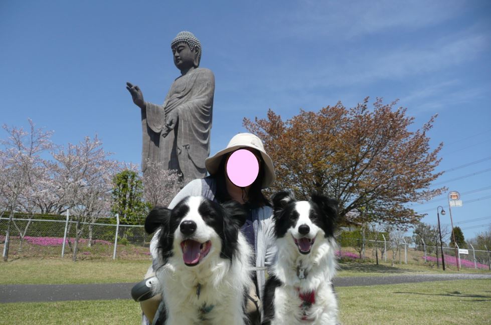 c0147241_08564799.jpg