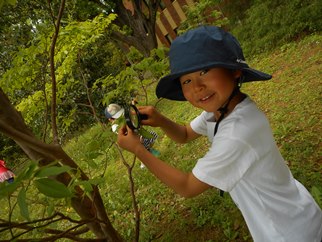 d0148342_12154.jpg