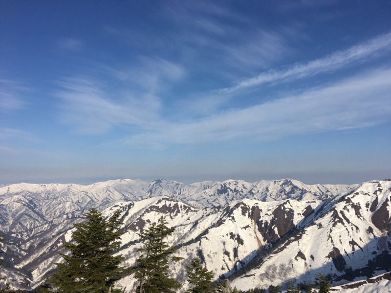 e0329049_21561341.jpg