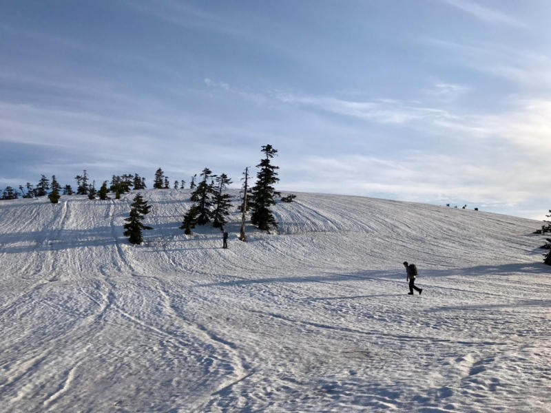 e0329049_21561464.jpg