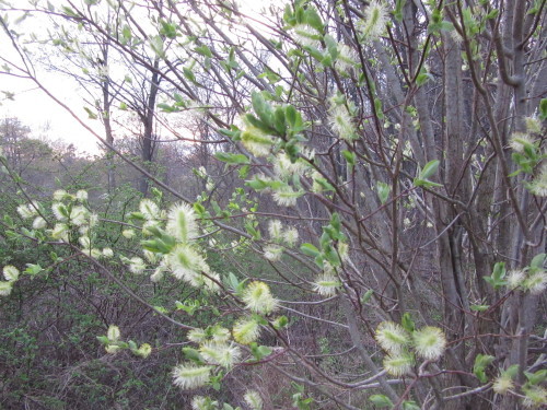 b0247153_23300435.jpg
