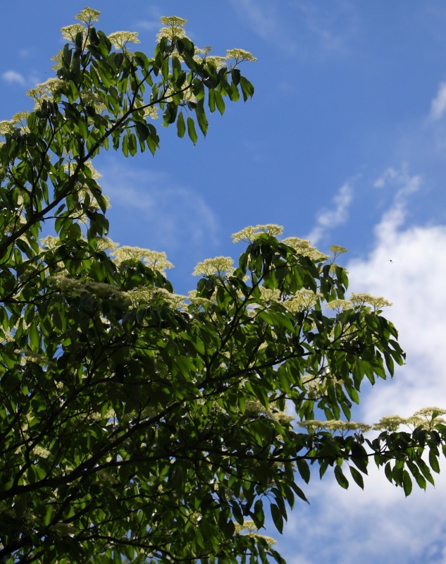 a0248459_16013289.jpg