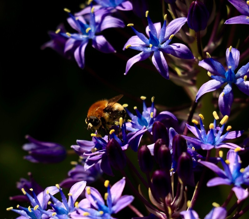 a0248459_16100459.jpg