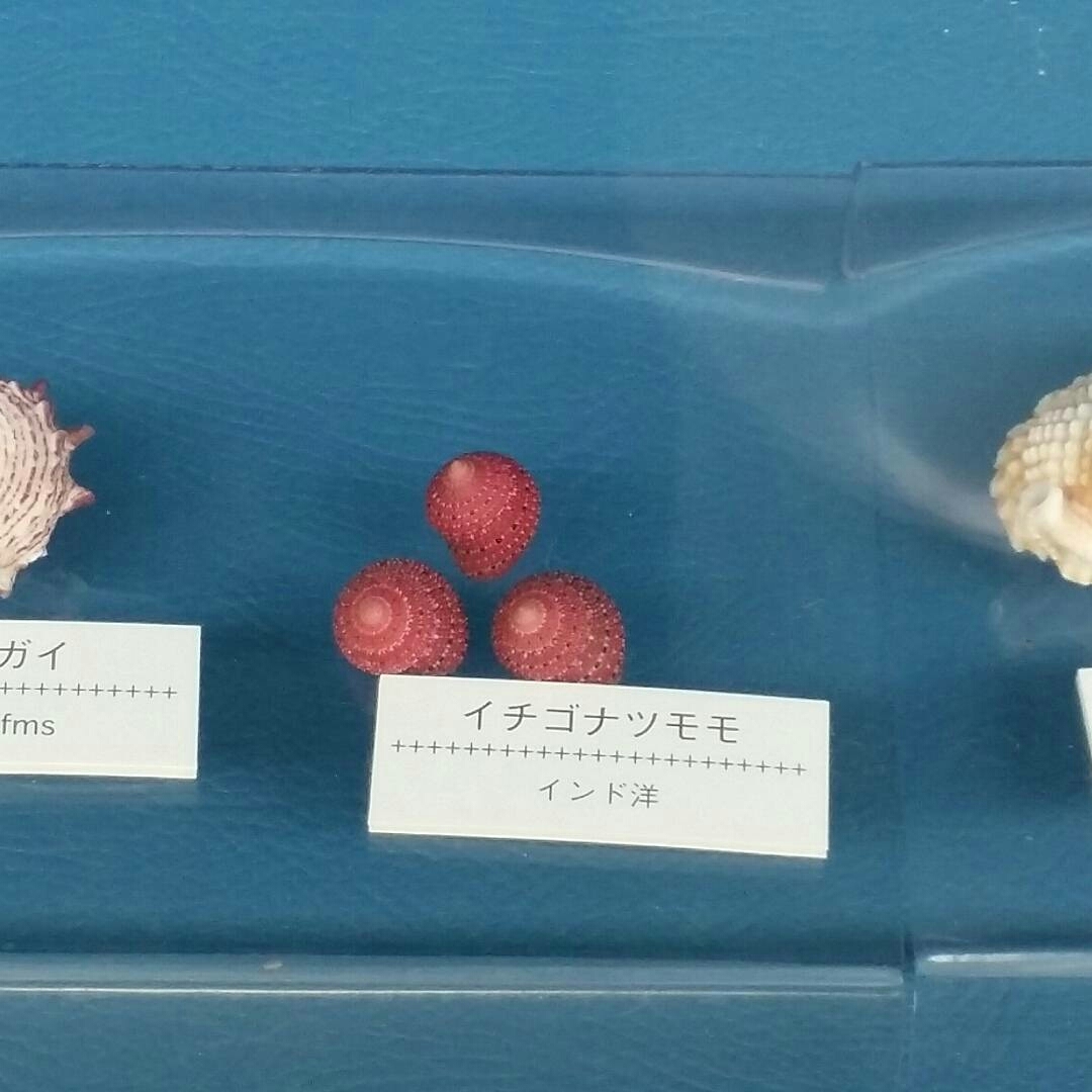 d0261061_06424921.jpg