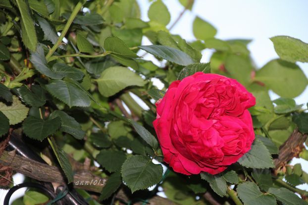 e0232963_17041136.jpg