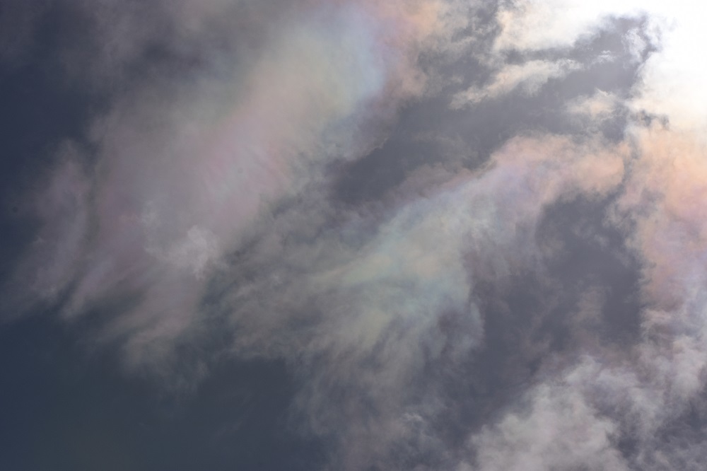 b0355467_17020029.jpg