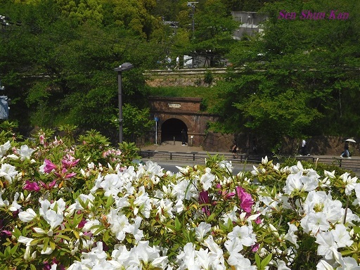 a0164068_17231542.jpg