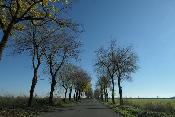 d0193569_931412.jpg