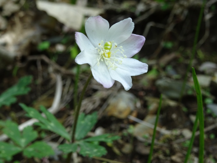 c0143772_9323710.jpg