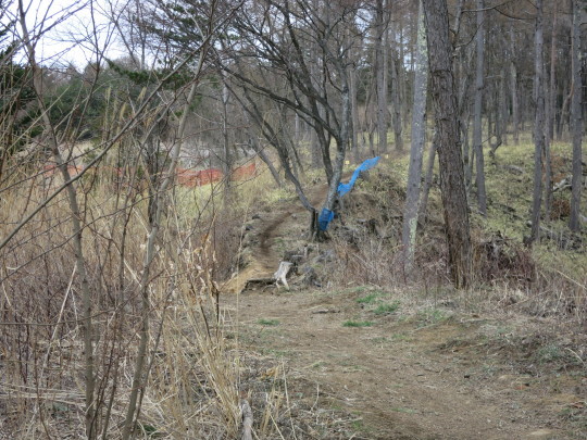 b0144174_10012540.jpg