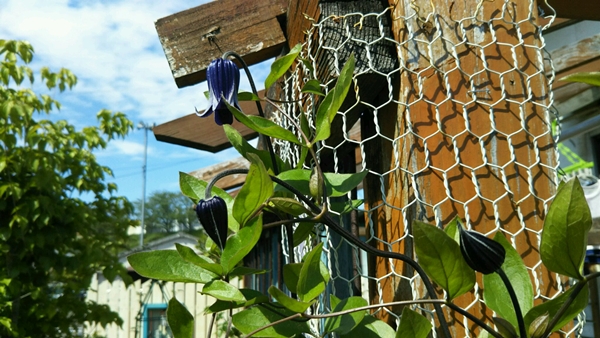 f0366679_21475418.jpg
