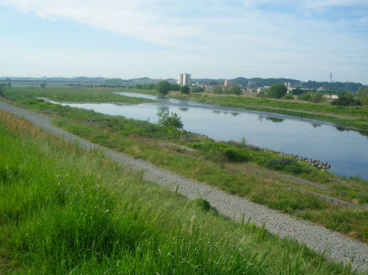 c0069380_14240220.jpg