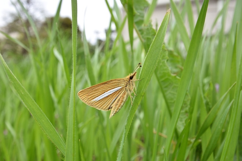 f0031682_08105322.jpg