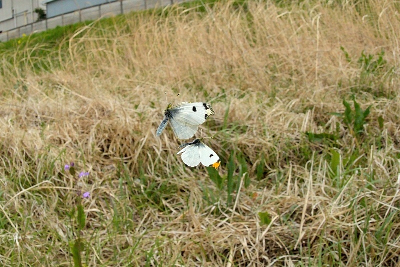 f0031682_08105839.jpg