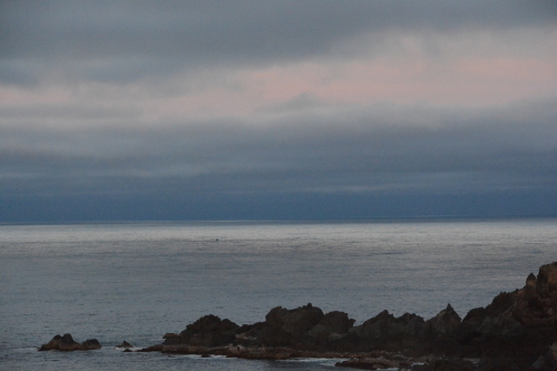 c0204385_14052890.jpg