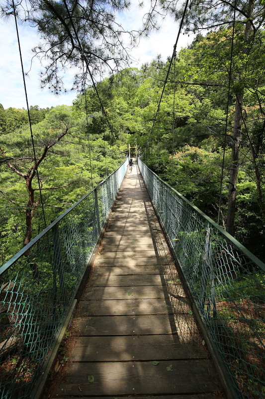 f0238186_11274389.jpg