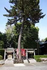 d0183387_22302437.jpg