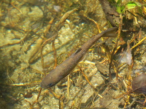 e0271890_10344925.jpg