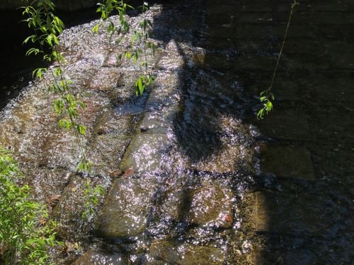 e0246691_17434563.jpg