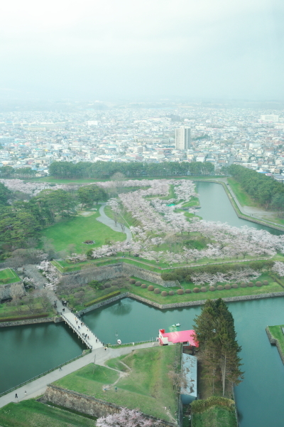 e0230794_11425825.jpg