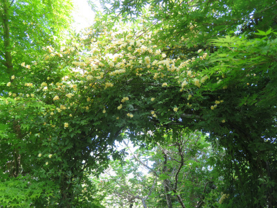 c0125501_21544534.jpg