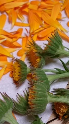 e0351303_16084913.jpg