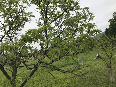 c0212604_158132.jpg