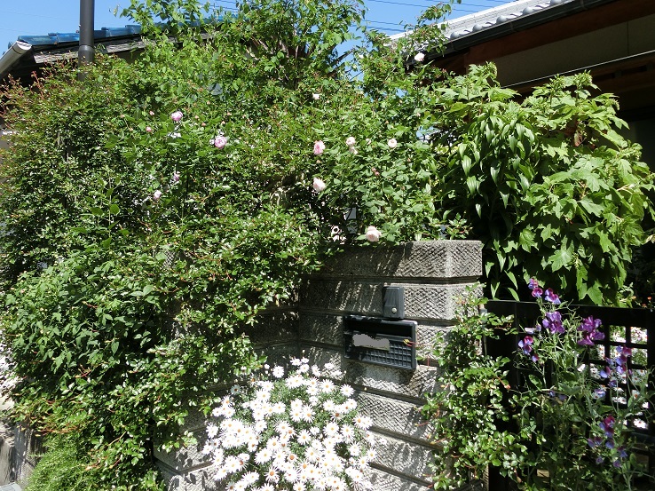 e0234004_18552851.jpg