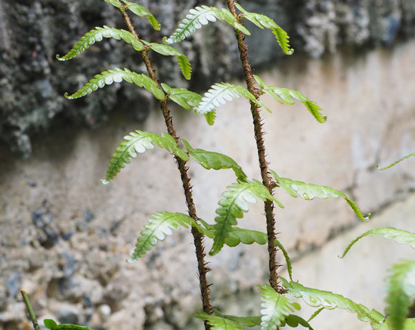 b0367508_13371391.jpg