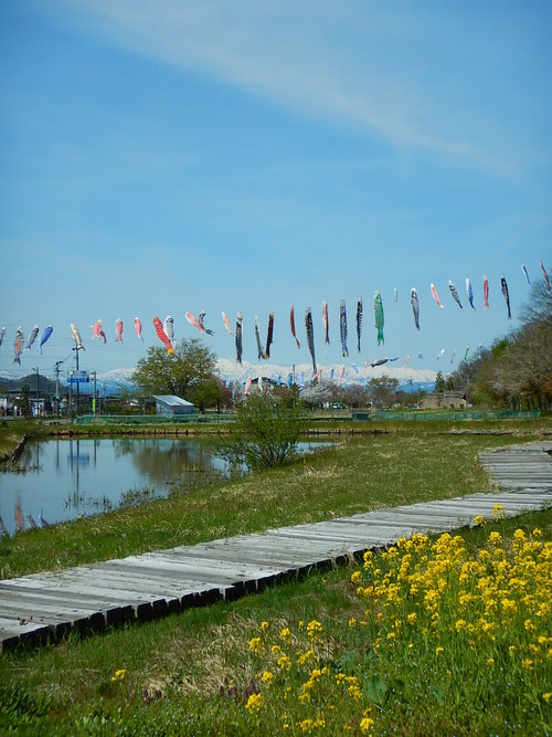 e0243008_11414024.jpg