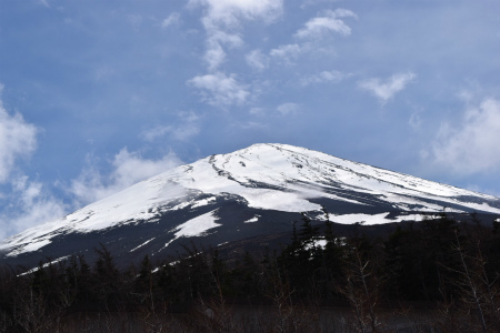 e0359808_21361608.jpg
