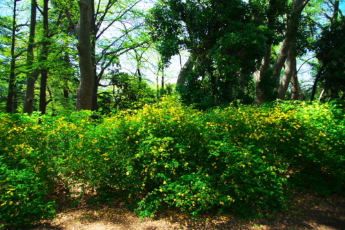 a0263109_14011432.jpg