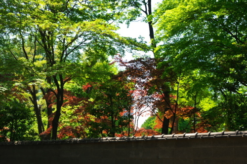 a0263109_14231740.jpg