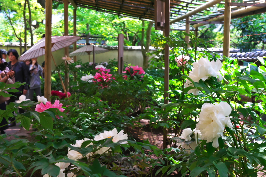 a0263109_14302639.jpg