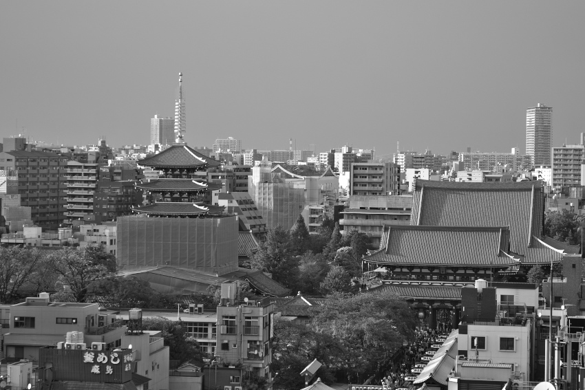 a0263109_14525963.jpg