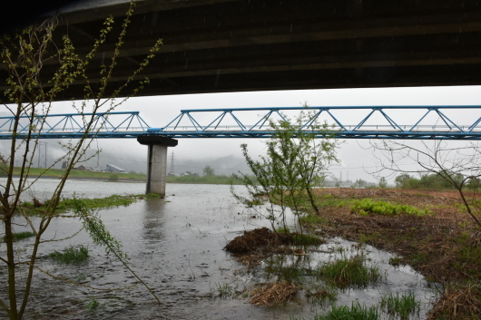 c0232813_16142037.jpg