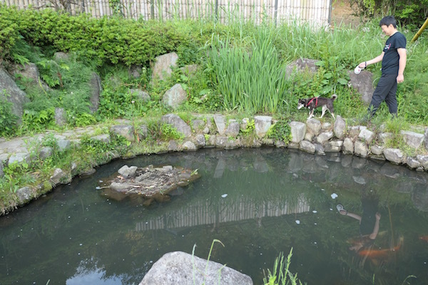 f0369014_10111036.jpg