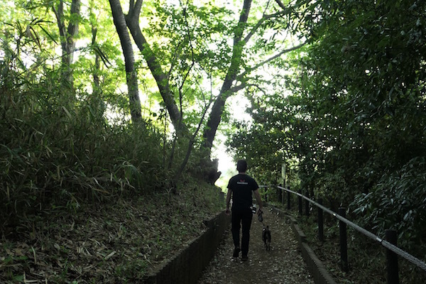 f0369014_10323298.jpg