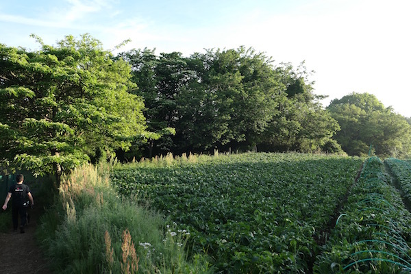 f0369014_10330475.jpg
