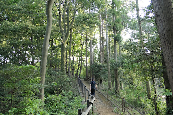 f0369014_10370675.jpg