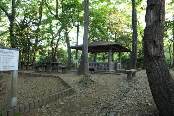 f0369014_10375513.jpg