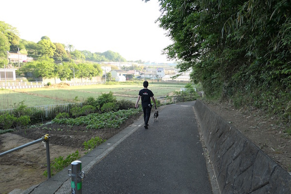 f0369014_10414295.jpg