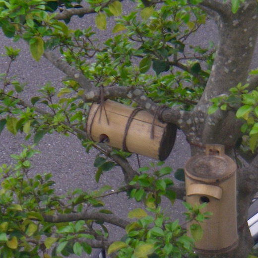 b0113219_16252406.jpg