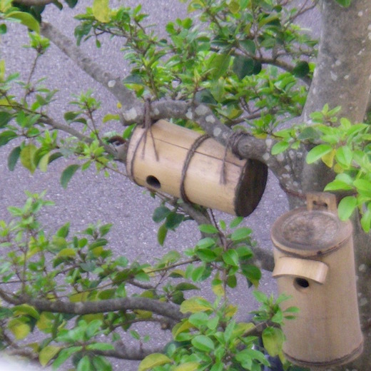 b0113219_17490503.jpg