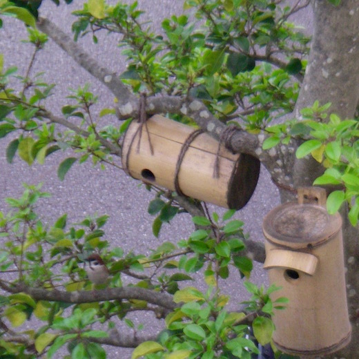 b0113219_17490623.jpg
