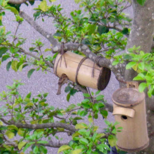 b0113219_17490641.jpg